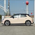 5 Seats Sedan Ora Hao Mao Chinese Electric Vehicles 150km/H