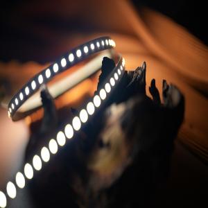 Wholesale 120LEDs/M 2835 SMD LED Strip Light IP20 DC24V 10mm For Indoor Decoration from china suppliers