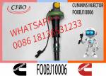Auto Parts Common Rail Diesel Fuel Injector F00BJ10006 For Cummins QSK19 QSK38