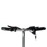 Australian Standard 36V 250W Electric Bike With CE Certificate And Single