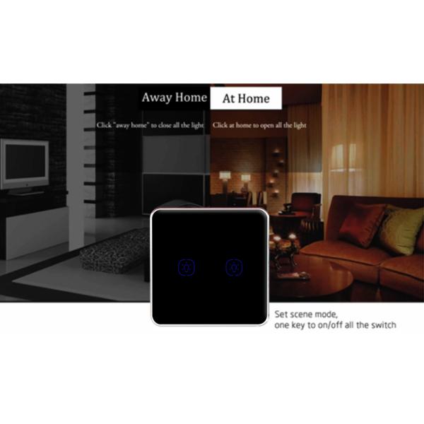 WiFi 240V 2 Gang Tuya Smart Switch With Google Alexa Voice Control