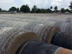 Offshore Pipeline Counterweight Welded Mesh for Strengthen Concrete Layer of the