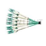 MTP / MPO - LC Duplex 12 Core Fiber Optic Cable Multimode OM3 / OM4