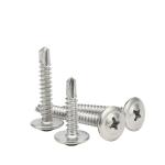 Stainless Steel Cross Recessed Self Drilling Screw with Truss Head Metric