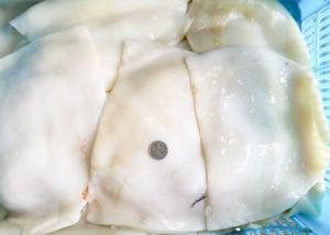 China Equator suqid fillet, frozen giant squid fillet 1000g 2000g Size on sale