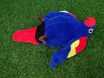 golf head cover , dog head cover , animal head cover , plush head cover , driver