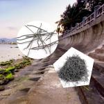 Stainless Steel Fiber for Precast Concrete Dimensions Non-secondary and Is Alloy