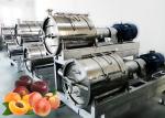 Commercial Peach Processing Plant Apricot Puree Plum Jam Production Line