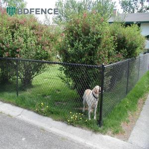 China Tennis Court Galvanized Chainlink Fence Roll Cyclone Wire Diamond Mesh Black Pvc Coated 6ft 8ft Mesh Opening 50*50mm on sale