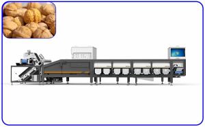 Wholesale Intelligent 8 Channel Walnut Sorting Machine 50Hz Agricultural Product Sorter from china suppliers