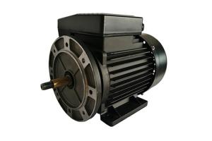Wholesale 2 Pole Stable Performance Single Phase Capacitor Start Motor 220V 50Hz For Bath Pump from china suppliers