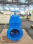 EN558-1 F4 Gate Valve CI DI PN10 PN16 Brass Nut Type