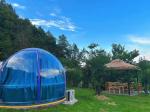 Modern Luxury Prefabricated Modular Green Houses Hurricane-Proof PC Dome Tent