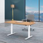 Commercial Custom Dual Motor Electric Height Adjustable Lift Coffee Table for