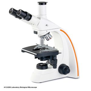 Wholesale 1000x Compound Optical Microscope A12.0205 Trinocular Led Light Source from china suppliers