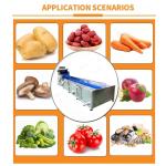 Leafy Vegetables And Fruits Cleaning Lettuce Washer Potatoes Washing Machine