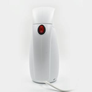 Wholesale Electric Travel Home Steam Iron Compact Garment Steamer Dual Protection System 700W VDE Plug from china suppliers