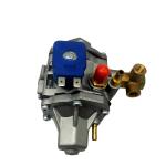Autogas Gnv Reducer Cng Regulator 4 Cyl 6 Cyl 8 Cyl Convertidor Gnc Cng Reducer