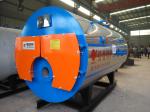 Best Price 1000 Liter Smoke Tube Structure Commercial Biogas Natural Gas LPG
