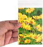 OPP Plastic Packaging Treat Bags Disposable With Self Adhesive Seal