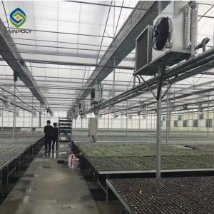 Wholesale Elliptical Pepper 8.0m Plastic Polyethylene Film Greenhouse from china suppliers