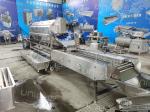 Stainless Steel 304 Automatic Ginger Washer and Cassava Cleaning Machine Year