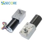 30RPM 4.55W Brushless DC Gear Motor ROHS Self Locking Worm Gear Motor