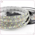 5050 Dimmable Single Color White Warm White Light LED Flexible Light Strip with