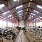 One Stop Steel Structure Poultry House Sliding Door Aluminum Window