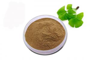 Wholesale USP Grade Organic Ginkgo Biloba Powder from china suppliers