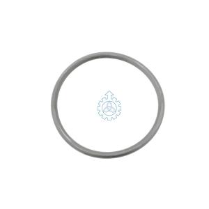 Wholesale o-ring 5003065115 from china suppliers