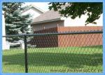 50x50 Mm Diamond Low Carbon Galvanized Chain Link Fence Fabric 11.5 Gauge