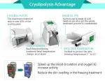 High Quality Cheap Cryolipolysis Cellulite Reduction Keyword Body Fat Freeze