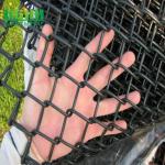Iron Galvanized Tube 6 Ft Chain Link Fence Black Powder Coated