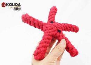 Wholesale Starfish Shape Pet Toys Non - Toxic For Medium And Small Canines from china suppliers