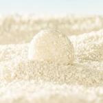 Dust Free Cassava Cat Litter OEM ODM Highly Adsorbent