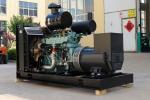 Russian Market Synchronization CAMC 2000KW 2MW Natural Gas Generator Powered by
