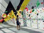 Upgrade Your Bouldering Experience with XL Size Climbing Holds by Gecko King