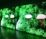 Full Color LED Billboard Display P6 5500-6500 Nits For Car Show / Conference