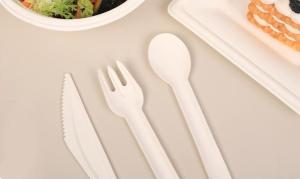 Wholesale GZ Bio 4 Inches Disposable Paper Cutlery Set Spoon With Kraft Paper Outer Packing Pattern Design from china suppliers