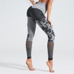 2019 Leopard Grain Seanmless Mesh Woman Fitness Yoga Leggings Or Top