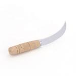 Polished Curved Fruit Knife L17.6cm W4.3cm For Grapefruit Pineapple Banana