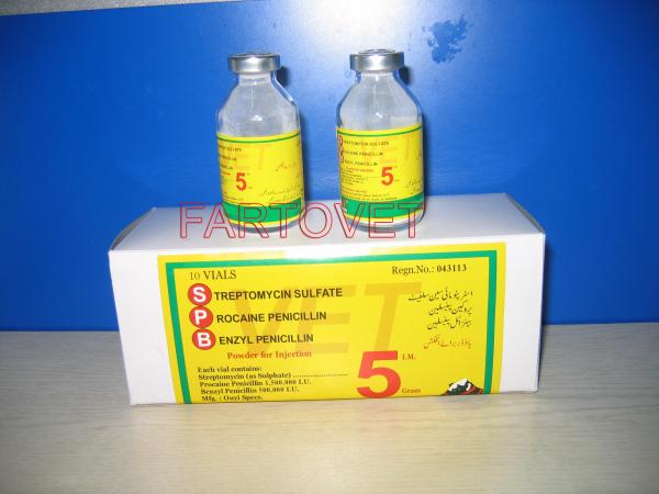 Quality procaine penicillin injection powder for sale