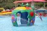 Customized Colorful Carp Spray Aqua Park Equipment For Children / Kids Fun in