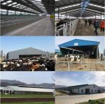 Efficient Turnkey 100 By 100 Steel Structure Residential Building With