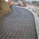 Strong Bearing Capacity Biaxial Plastic Geogrid for Dams and Roadbed Reinforceme