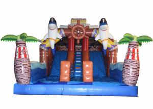Wholesale Pirate Themed Dolphins Commercial Inflatable Water Slides For Rental In Amusement Park Inflatable Pirate Dry Slide from china suppliers