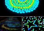 Plastic Concrete Pavements Glowing Luminescent Pebbles