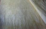 Rotary Cut Veneer For Plywood