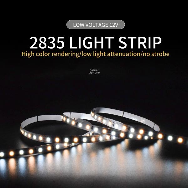 CE Certificate Led Strip 2835 Smd Outdoor Lighting Dual Color Temperature 120